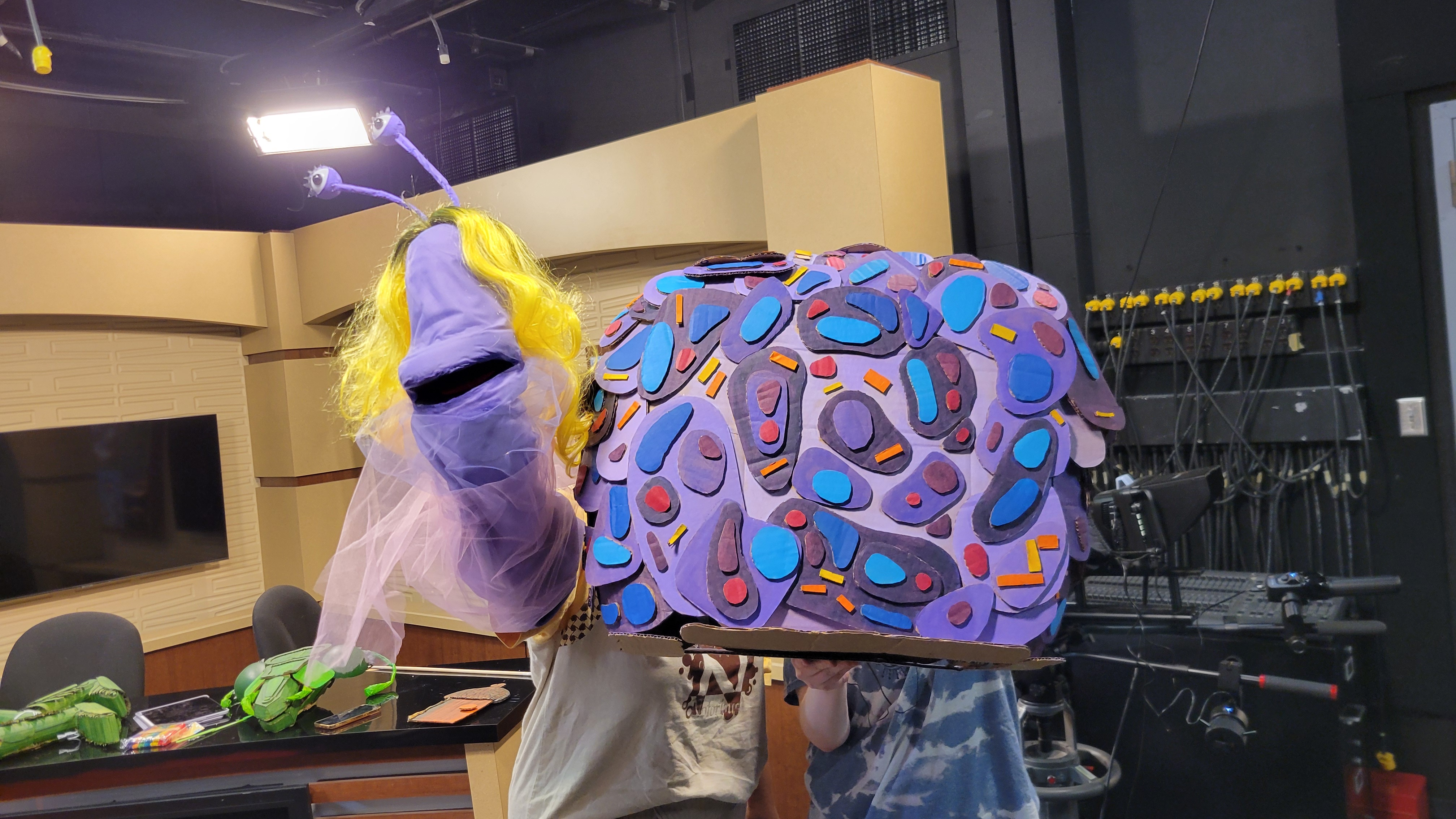 Behind the Scenes - Bug Hotel Production